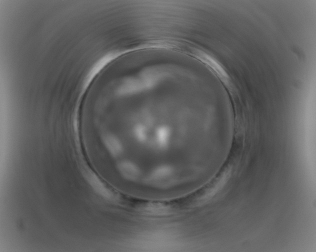 X0000115580907200911101145