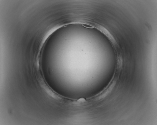 X0000115580908200911101145