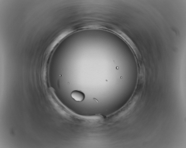 X0000115580909200911101145