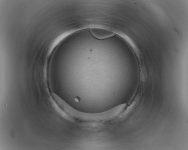 X0000115580910200911101145