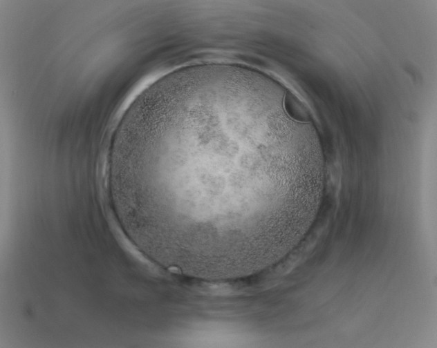 X0000115580911200911101145