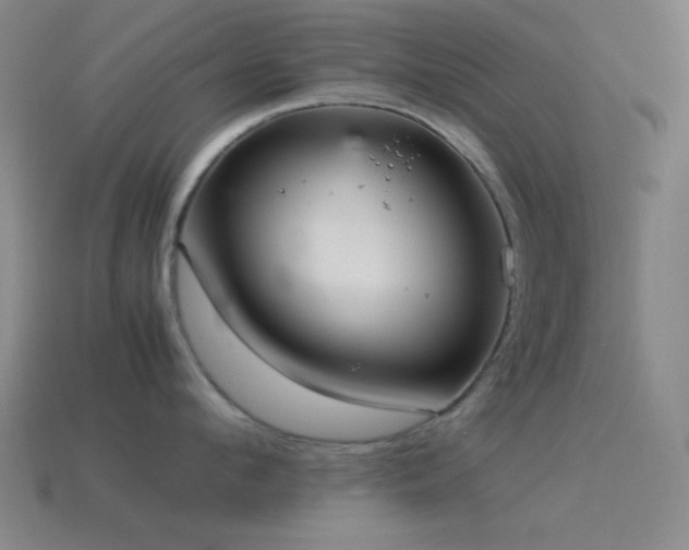 X0000115580912200911101145