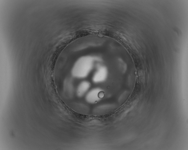 X0000115580913200911101144