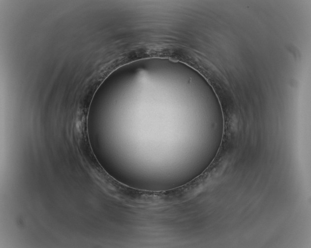 X0000115580914200911101144