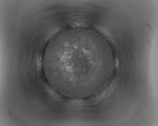 X0000115580915200911101144