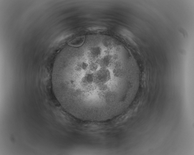 X0000115580917200911101144