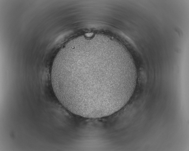 X0000115580918200911101144