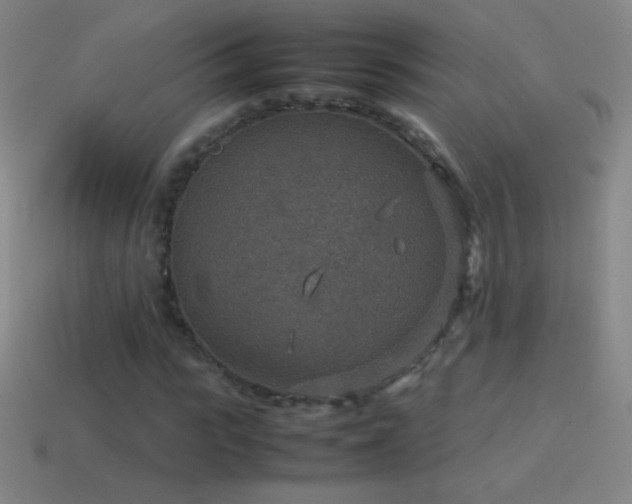 X0000115580919200911101144