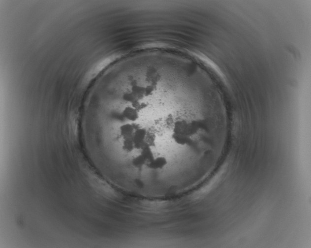 X0000115580921200911101144