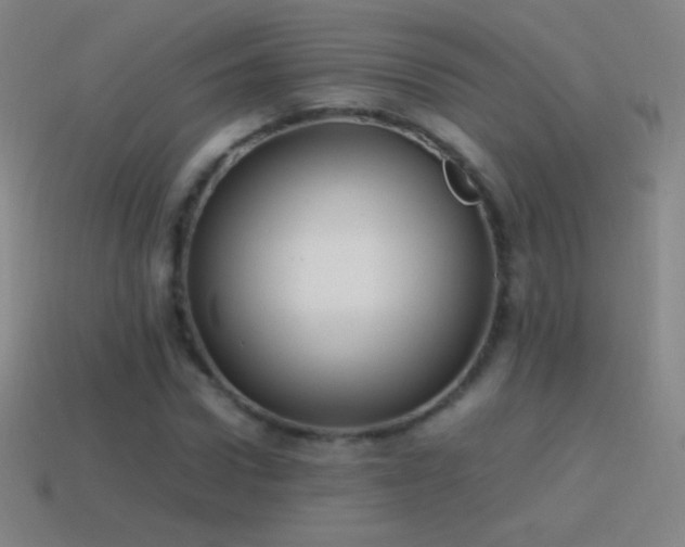 X0000115580922200911101144