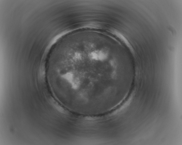 X0000115580923200911101144