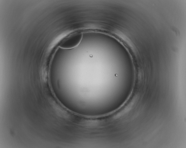 X0000115580925200911101144