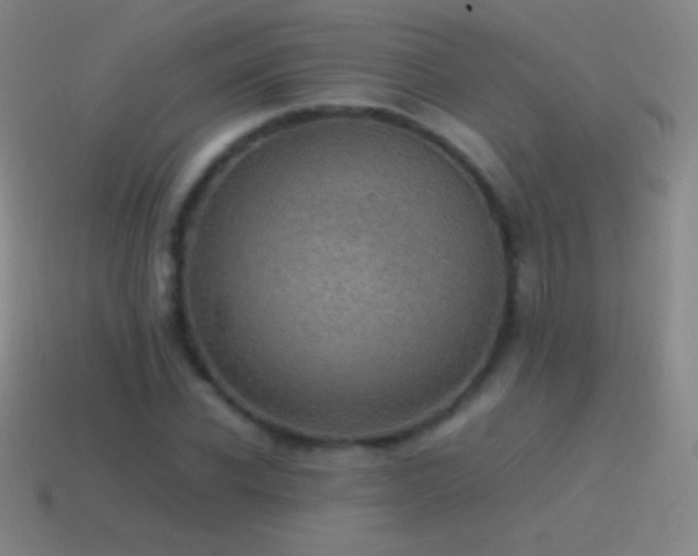 X0000115580926200911101144