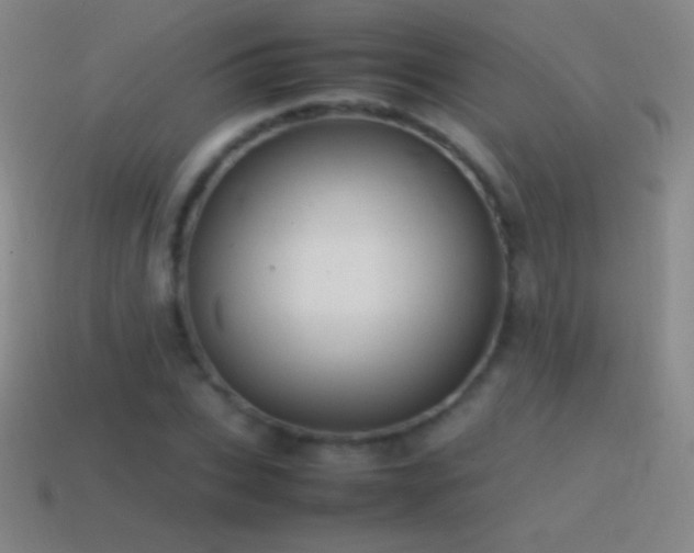 X0000115580927200911101144