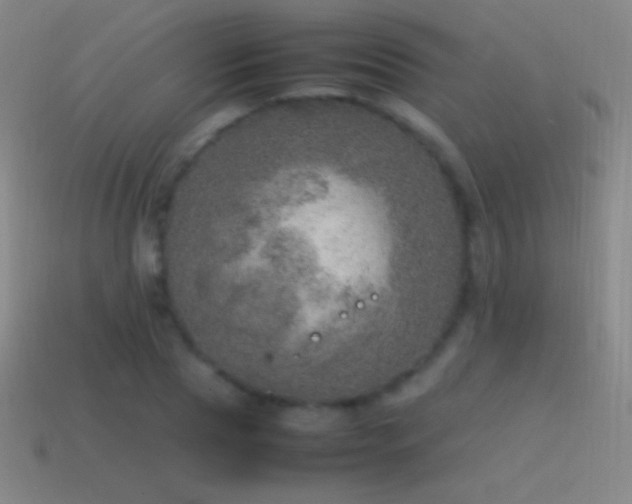 X0000115580929200911101145