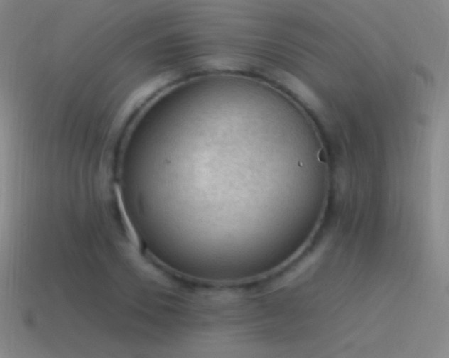 X0000115580930200911101145