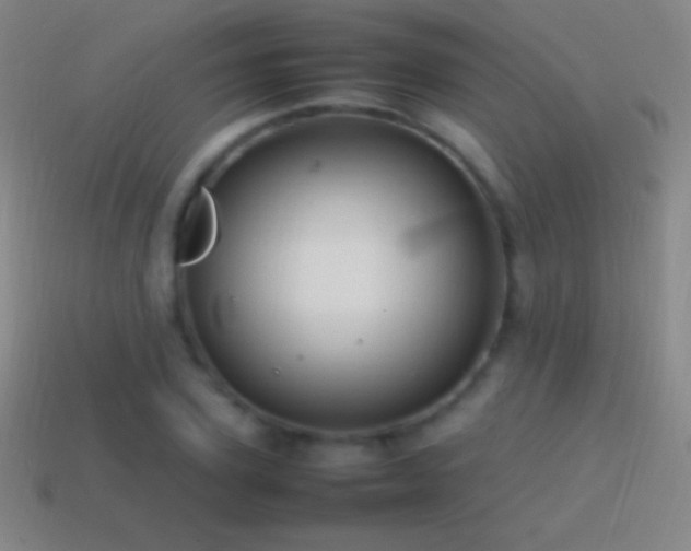 X0000115580931200911101145