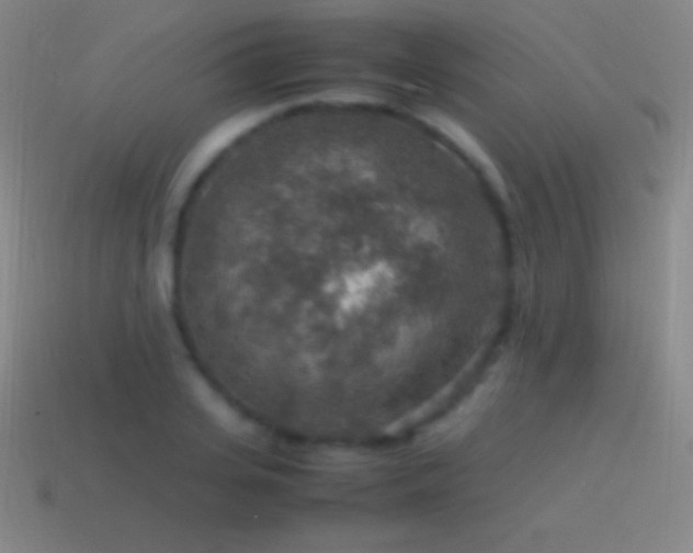 X0000115580935200911101145