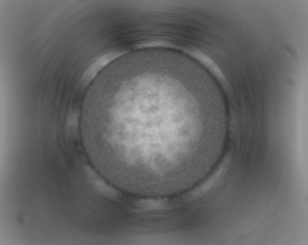 X0000115580937200911101145