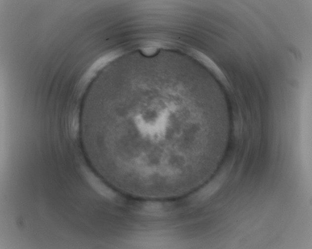 X0000115580938200911101145