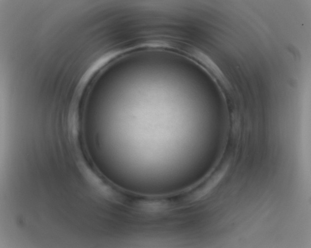 X0000115580939200911101145