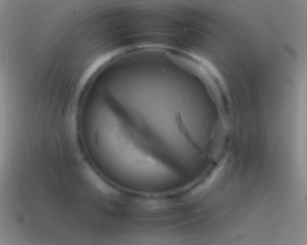 X0000115580941200911101145