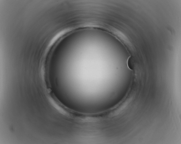 X0000115580942200911101145