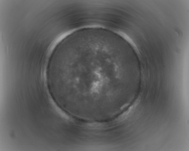 X0000115580943200911101145