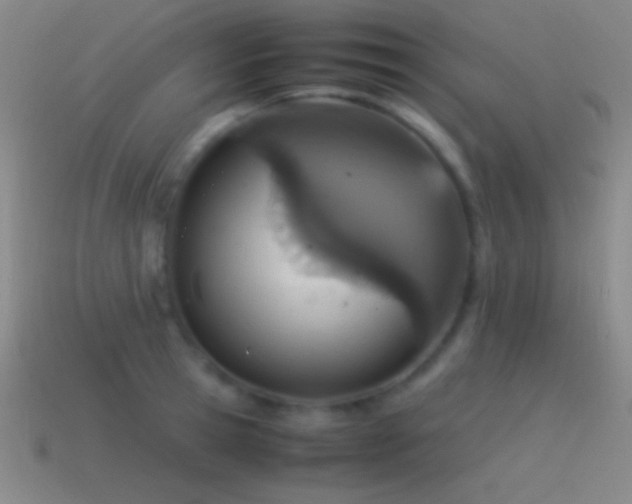 X0000115580945200911101145