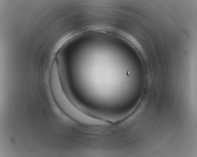 X0000115580946200911101145