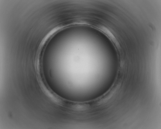 X0000115580947200911101145