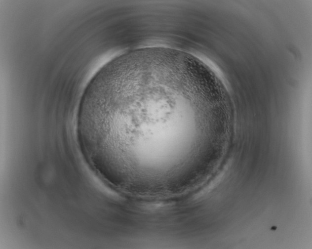 X0000115580949200911101145