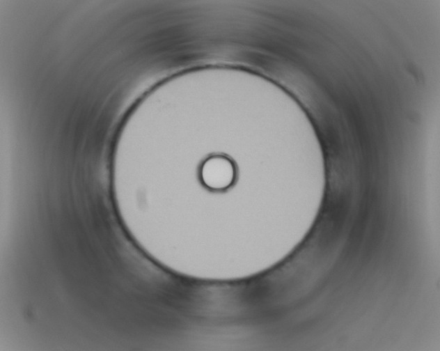 X0000115580950200911101145