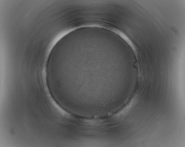 X0000115580951200911101145