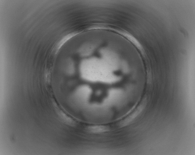 X0000115580953200911101145