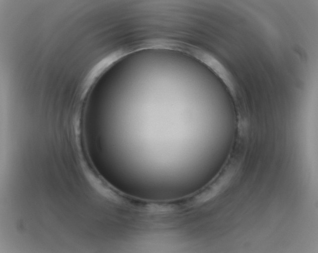 X0000115580954200911101145