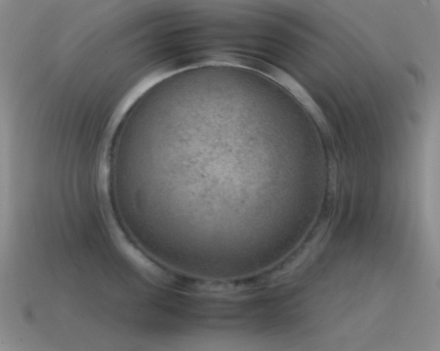 X0000115580955200911101145