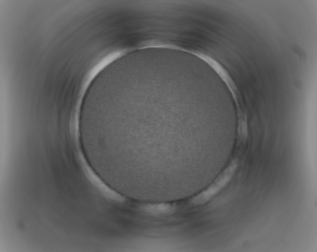 X0000115580957200911101145