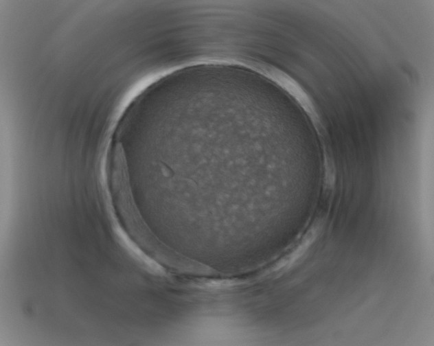 X0000115580958200911101145