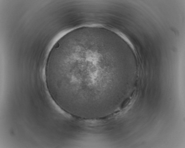 X0000115580959200911101145