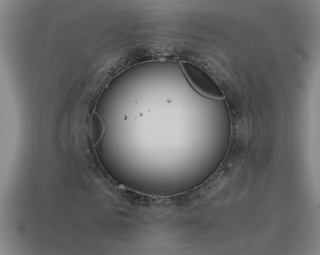 X0000115580961200911101144