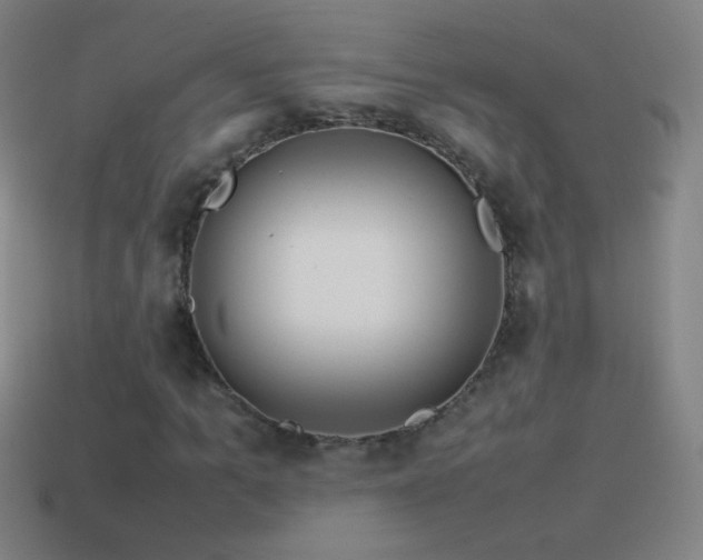 X0000115580965200911101144