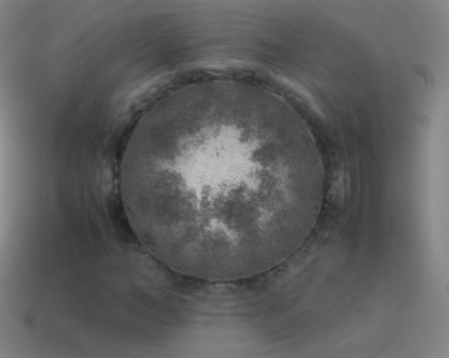 X0000115580966200911101144