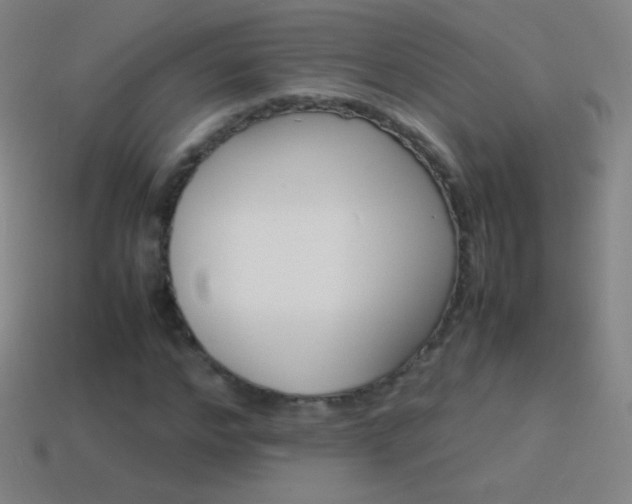 X0000115580968200911101144