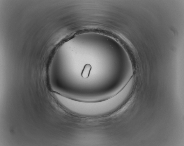 X0000115580969200911101144