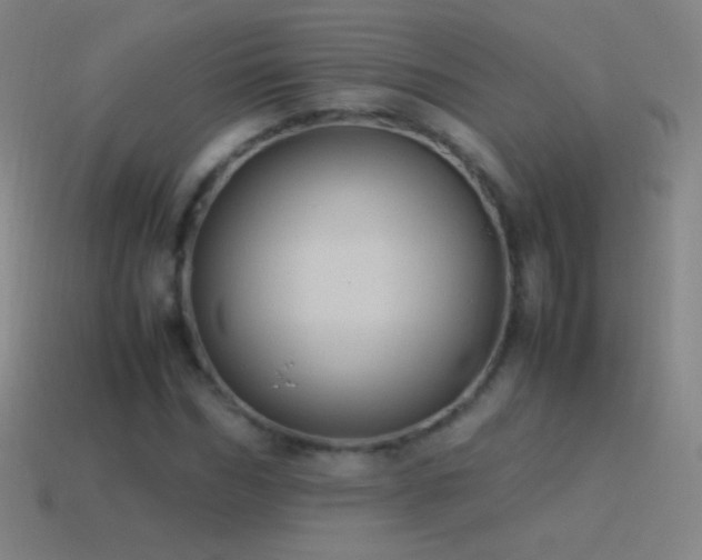 X0000115580970200911101144