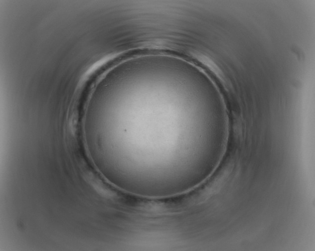 X0000115580971200911101144