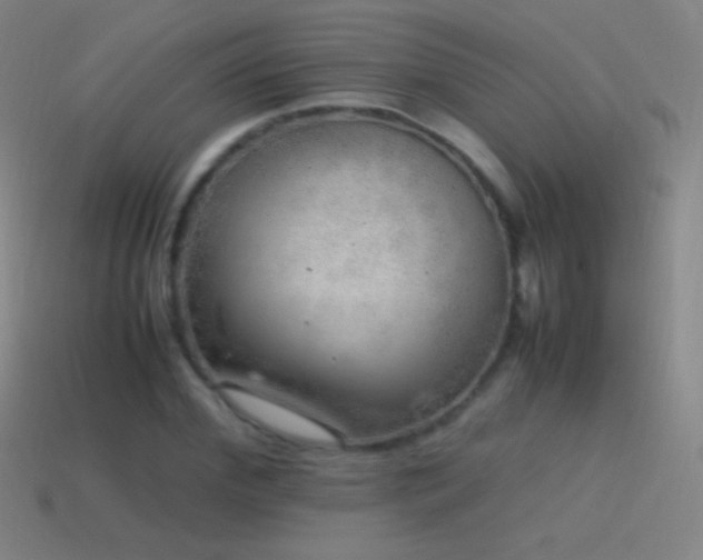 X0000115580972200911101144