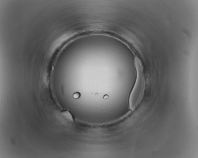 X0000115580973200911101144