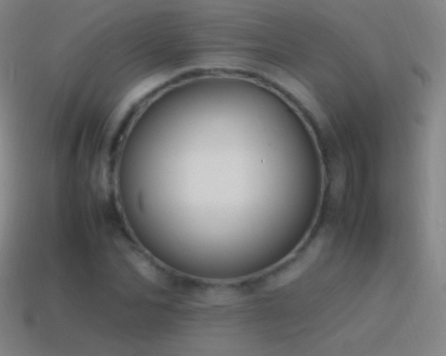 X0000115580974200911101144